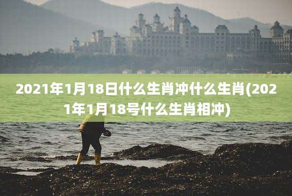 2021年1月18日什么生肖冲什么生肖(2021年1月18号什么生肖相冲)
