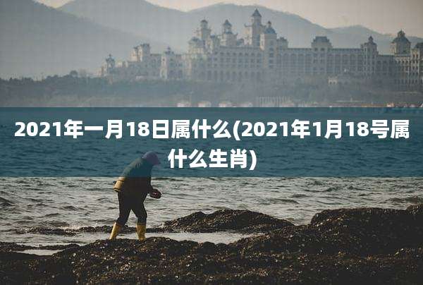 2021年一月18日属什么(2021年1月18号属什么生肖)