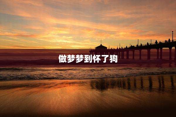 做梦梦到怀了狗