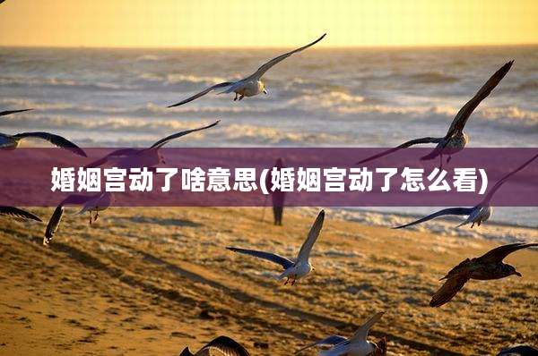 婚姻宫动了啥意思(婚姻宫动了怎么看)