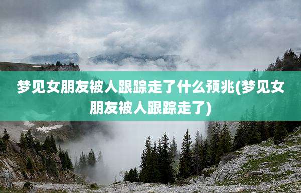 梦见女朋友被人跟踪走了什么预兆(梦见女朋友被人跟踪走了)