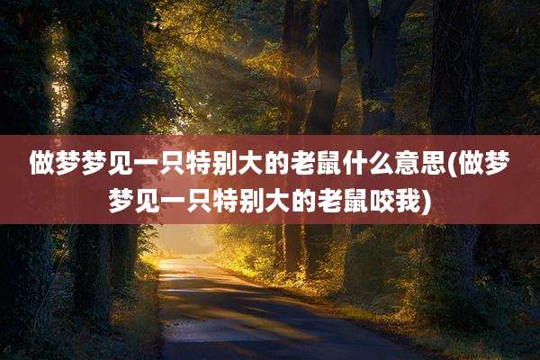 做梦梦见一只特别大的老鼠什么意思(做梦梦见一只特别大的老鼠咬我)