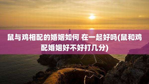 鼠与鸡相配的婚姻如何 在一起好吗(鼠和鸡配婚姻好不好打几分)