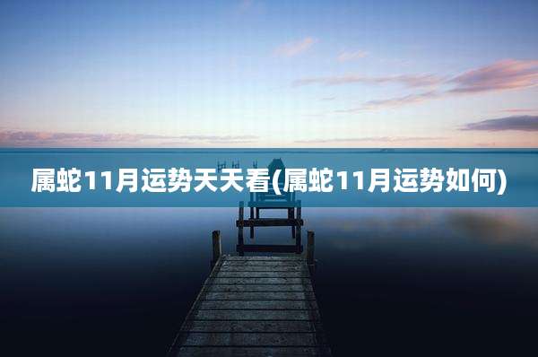 属蛇11月运势天天看(属蛇11月运势如何)
