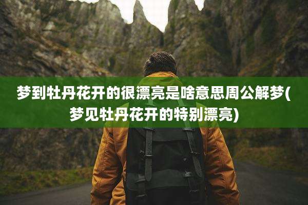 梦到牡丹花开的很漂亮是啥意思周公解梦(梦见牡丹花开的特别漂亮)