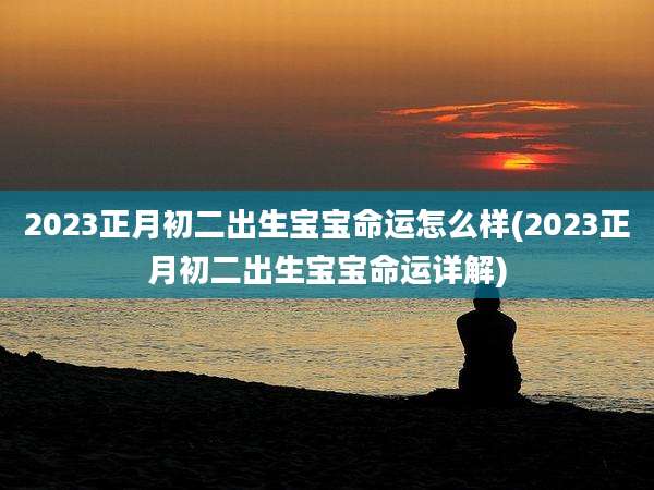 2023正月初二出生宝宝命运怎么样(2023正月初二出生宝宝命运详解)