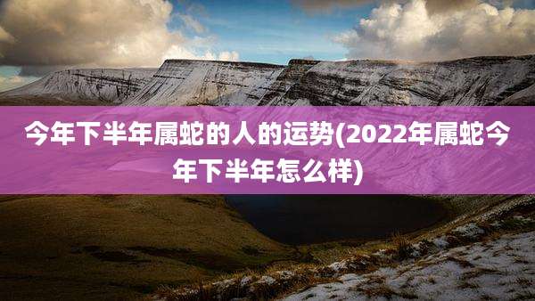 今年下半年属蛇的人的运势(2022年属蛇今年下半年怎么样)