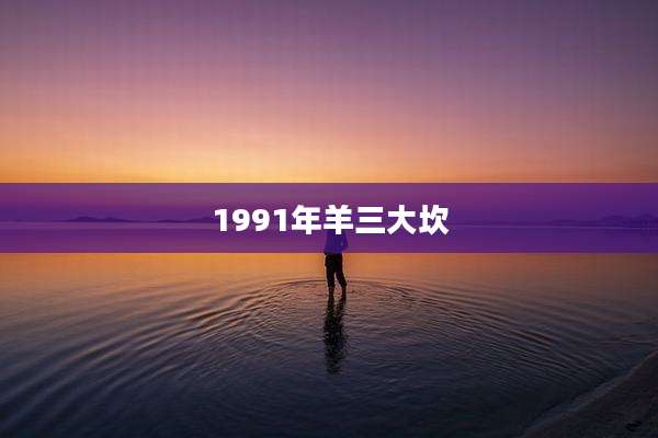 1991年羊三大坎