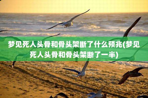 梦见死人头骨和骨头架断了什么预兆(梦见死人头骨和骨头架断了一半)