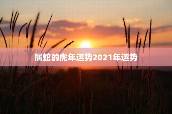 属蛇的虎年运势2021年运势