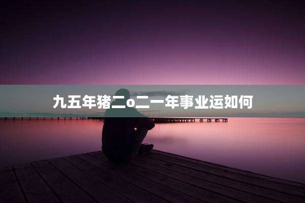 九五年猪二o二一年事业运如何