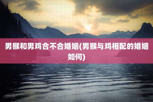 男猴和男鸡合不合婚姻(男猴与鸡相配的婚姻如何)