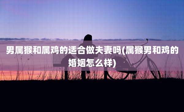 男属猴和属鸡的适合做夫妻吗(属猴男和鸡的婚姻怎么样)