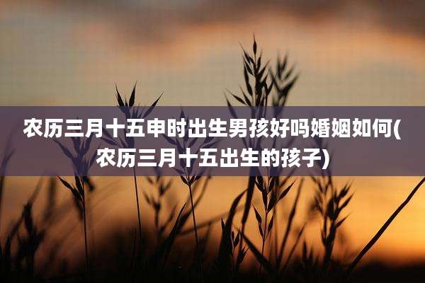 农历三月十五申时出生男孩好吗婚姻如何(农历三月十五出生的孩子)