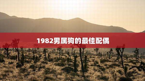 1982男属狗的最佳配偶