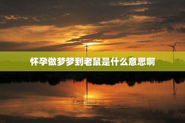 怀孕做梦梦到老鼠是什么意思啊