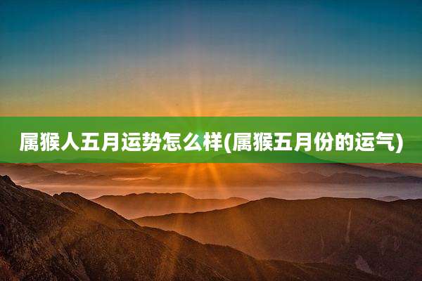 属猴人五月运势怎么样(属猴五月份的运气)