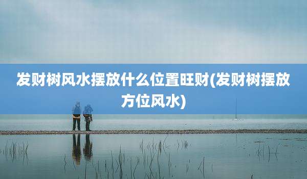 发财树风水摆放什么位置旺财(发财树摆放方位风水)