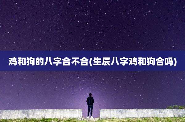 鸡和狗的八字合不合(生辰八字鸡和狗合吗)