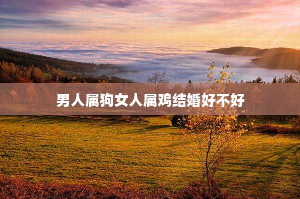 男人属狗女人属鸡结婚好不好