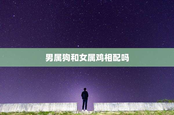 男属狗和女属鸡相配吗