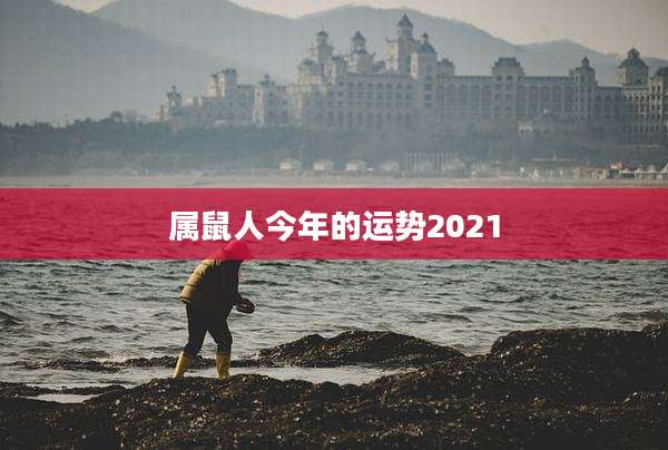 属鼠人今年的运势2021
