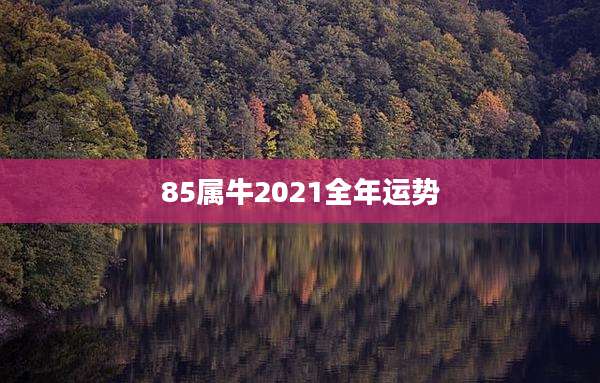 85属牛2021全年运势