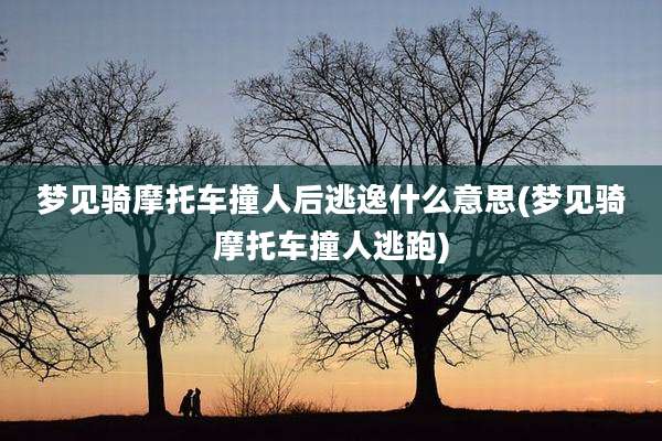 梦见骑摩托车撞人后逃逸什么意思(梦见骑摩托车撞人逃跑)