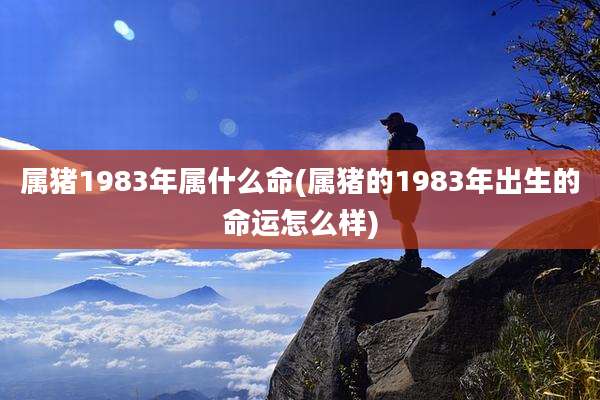 属猪1983年属什么命(属猪的1983年出生的命运怎么样)