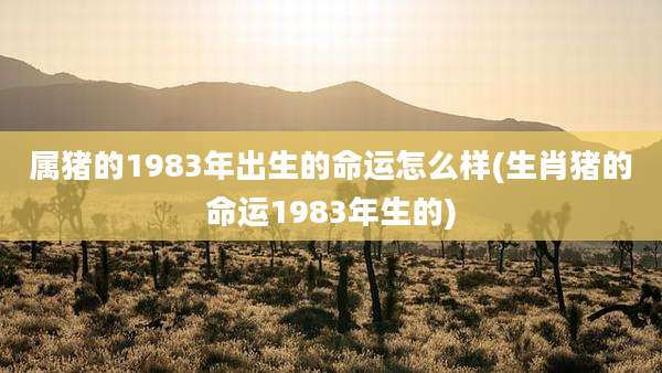 属猪的1983年出生的命运怎么样(生肖猪的命运1983年生的)