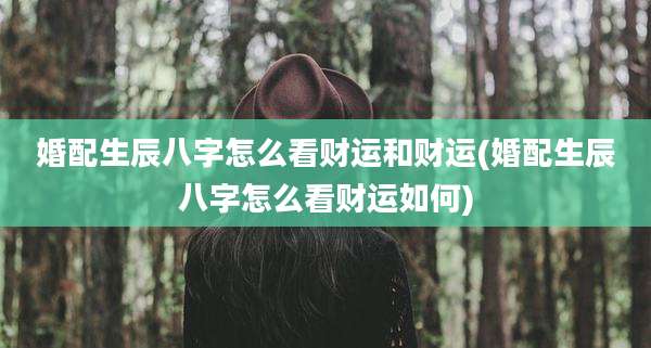婚配生辰八字怎么看财运和财运(婚配生辰八字怎么看财运如何)