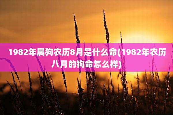 1982年属狗农历8月是什么命(1982年农历八月的狗命怎么样)