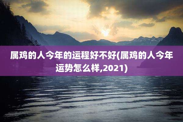属鸡的人今年的运程好不好(属鸡的人今年运势怎么样,2021)