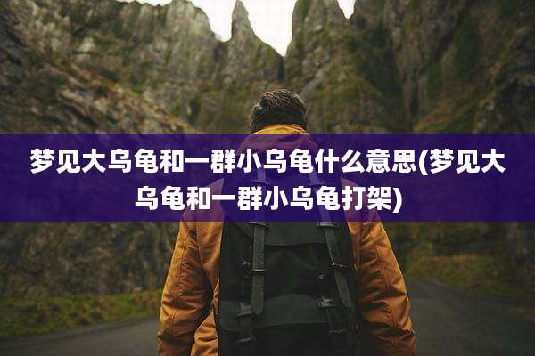 梦见大乌龟和一群小乌龟什么意思(梦见大乌龟和一群小乌龟打架)