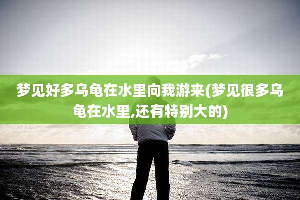 梦见好多乌龟在水里向我游来(梦见很多乌龟在水里,还有特别大的)