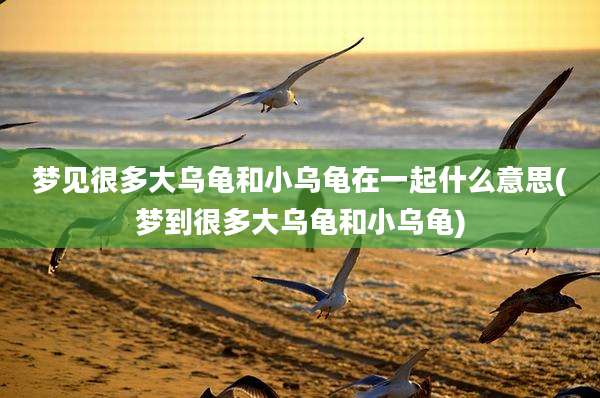 梦见很多大乌龟和小乌龟在一起什么意思(梦到很多大乌龟和小乌龟)