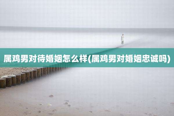 属鸡男对待婚姻怎么样(属鸡男对婚姻忠诚吗)