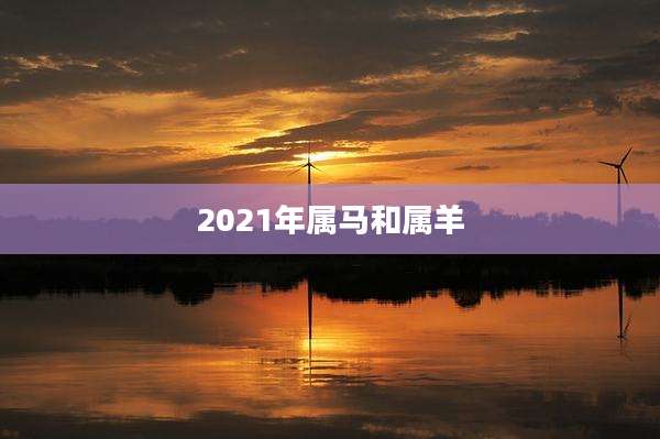 2021年属马和属羊