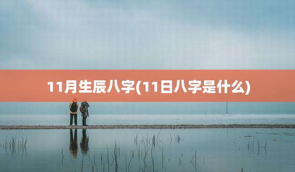 11月生辰八字(11日八字是什么)