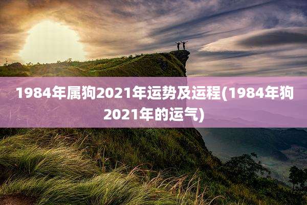 1984年属狗2021年运势及运程(1984年狗2021年的运气)