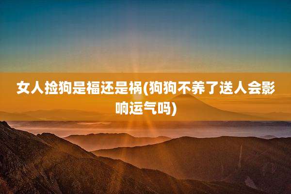 女人捡狗是福还是祸(狗狗不养了送人会影响运气吗)