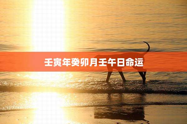 壬寅年癸卯月壬午日命运
