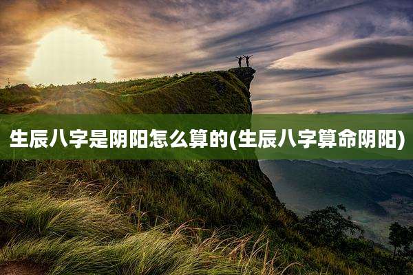 生辰八字是阴阳怎么算的(生辰八字算命阴阳)