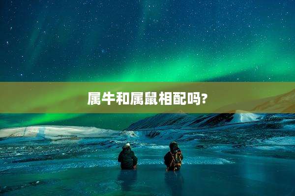 属牛和属鼠相配吗?