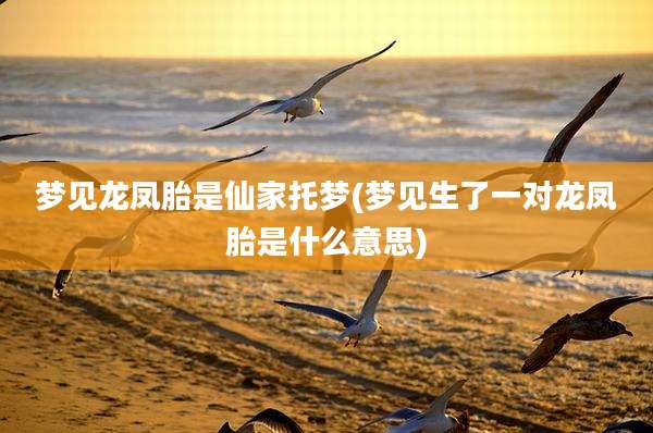 梦见龙凤胎是仙家托梦(梦见生了一对龙凤胎是什么意思)