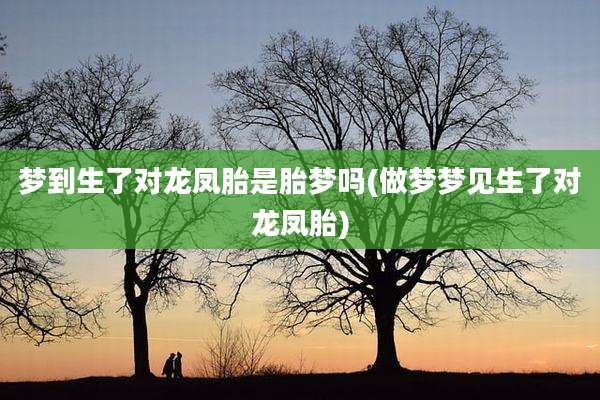 梦到生了对龙凤胎是胎梦吗(做梦梦见生了对龙凤胎)