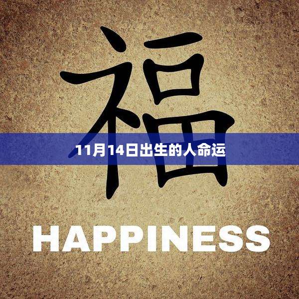 11月14日出生的人命运