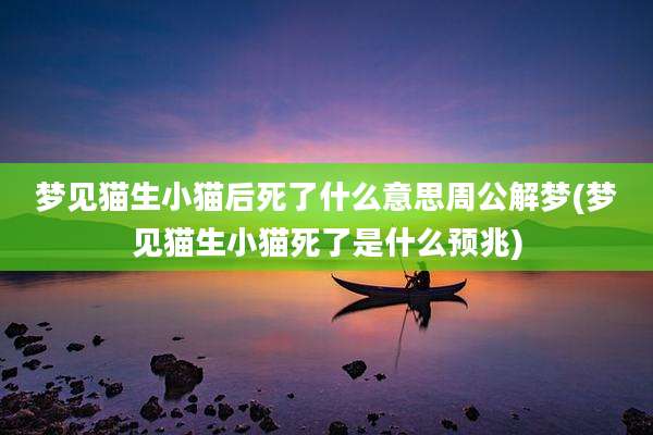梦见猫生小猫后死了什么意思周公解梦(梦见猫生小猫死了是什么预兆)