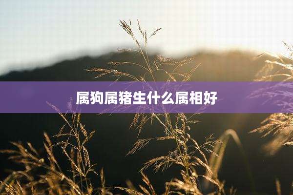 属狗属猪生什么属相好