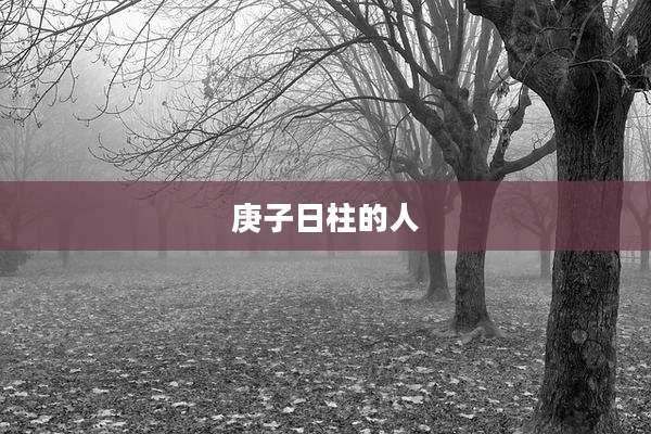 庚子日柱的人
